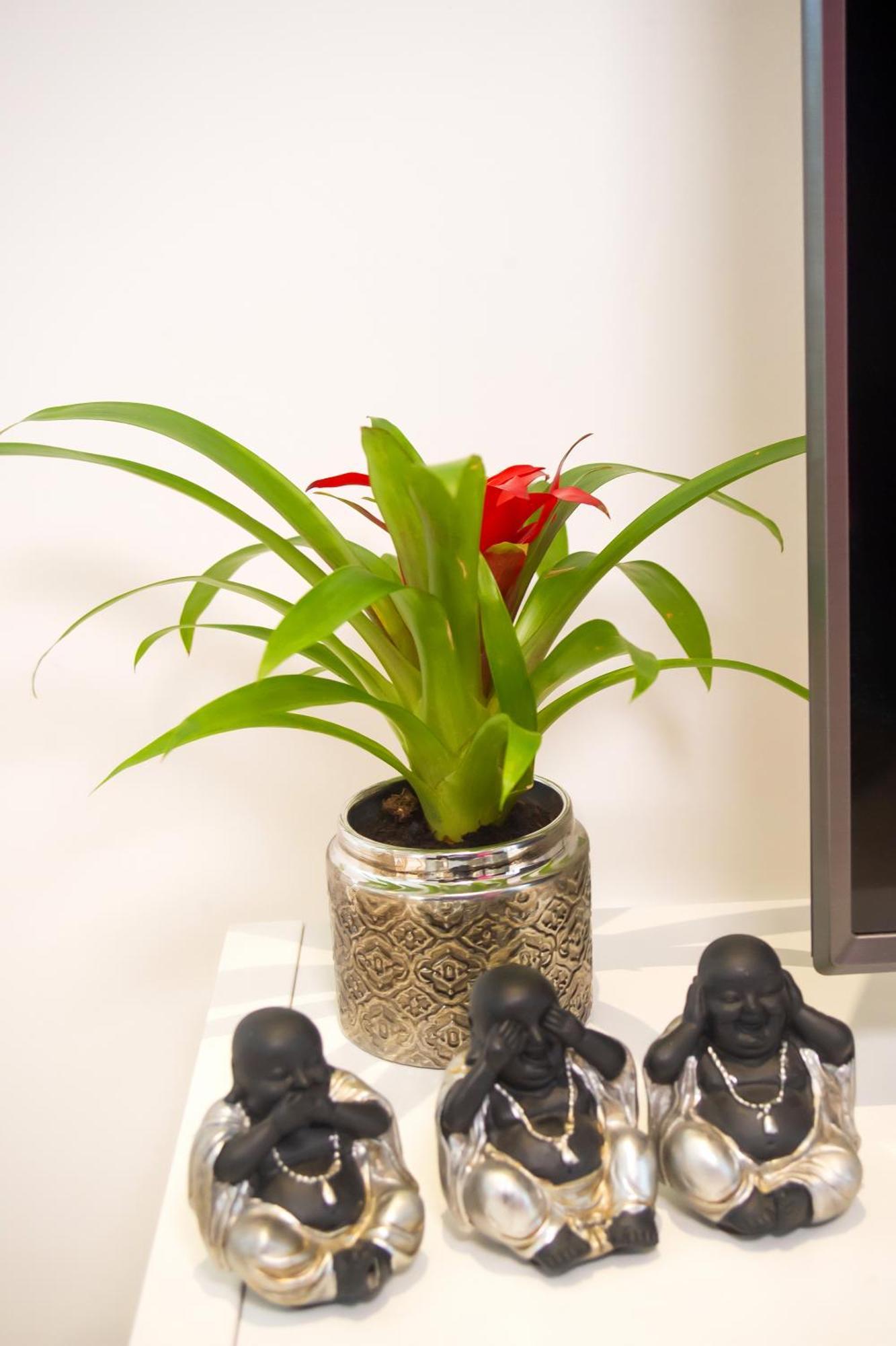 Batalha - Ferreiras Apartment ภายนอก รูปภาพ