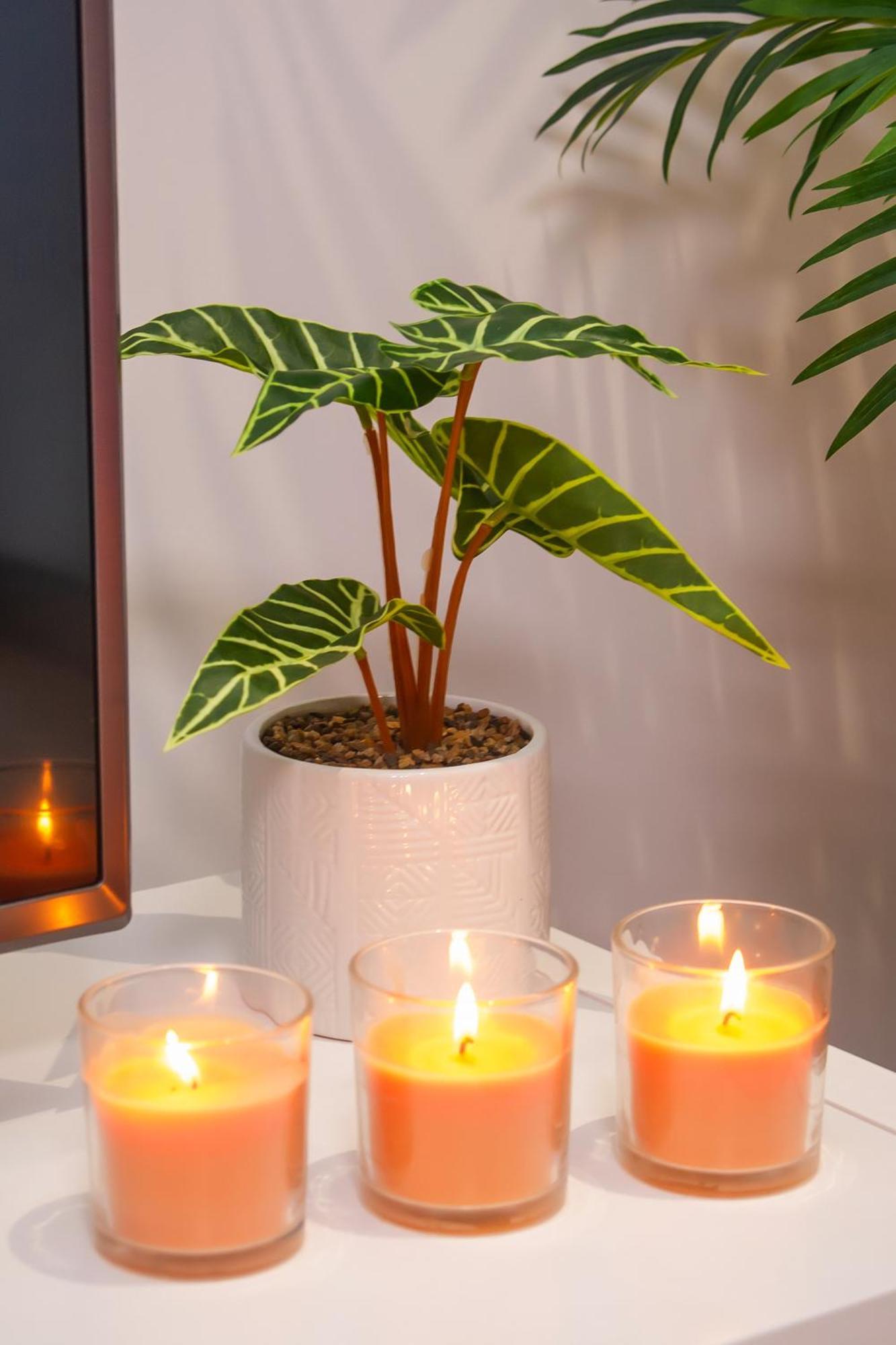 Batalha - Ferreiras Apartment ภายนอก รูปภาพ